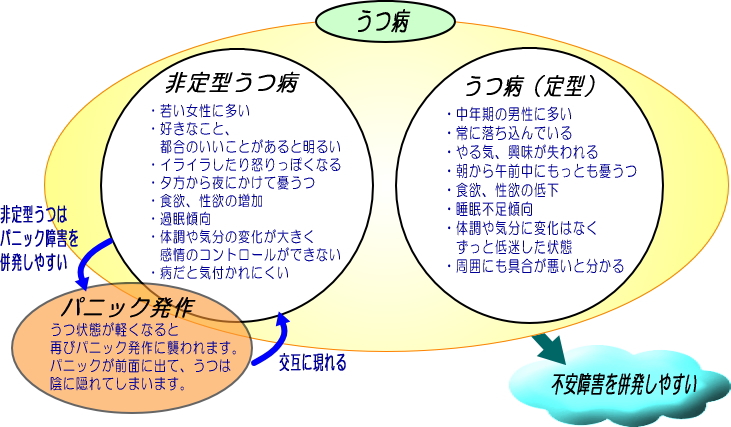 非定型うつ病（新型うつ病）解説図