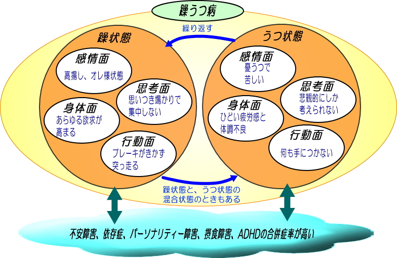 躁うつ病（双極性障害）解説図